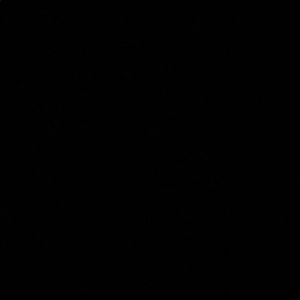 Meet your Posher, Anabel